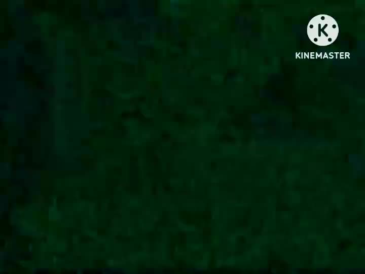 Klasky Csupo Mutated SwollenMares