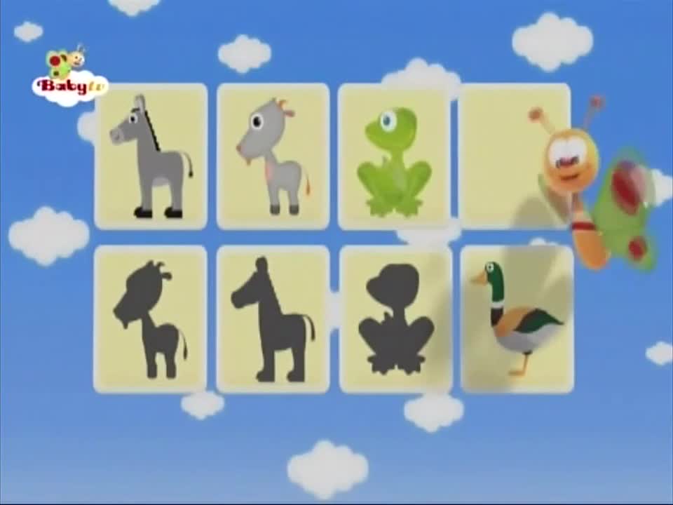 Flip and Flash - Animals