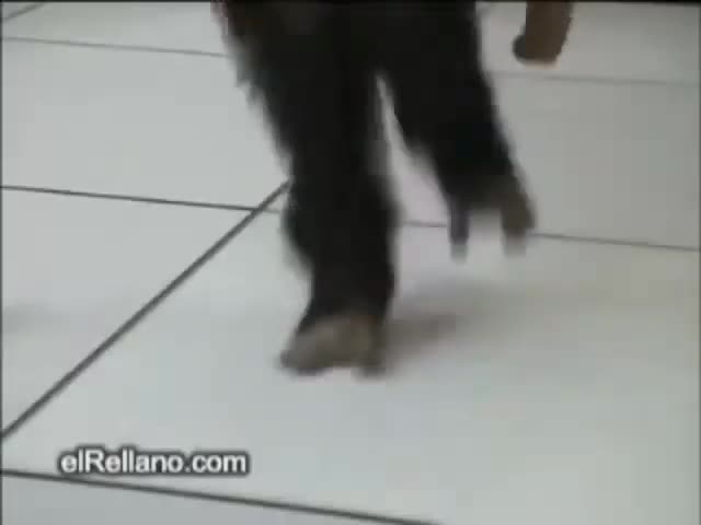 uaauaauaauaauaauaauaauaauaa uaauaauaauaauaauaauaauaauaa