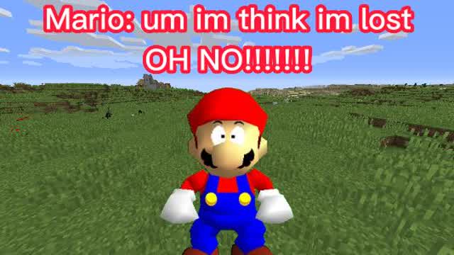Mario gets lost