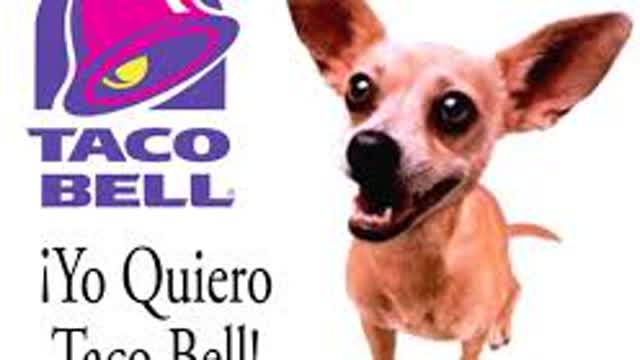 Ayesha Erotica - Taco Bell Snippet [Drogerito Visual]