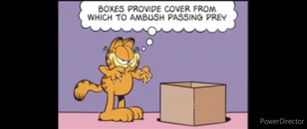 2025_01_19 Garfield Comic Dub