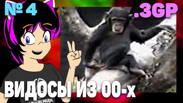 Макака понюхала палец. Приколы 2000-х. (Лови Мой 3gp с Нинель) #4