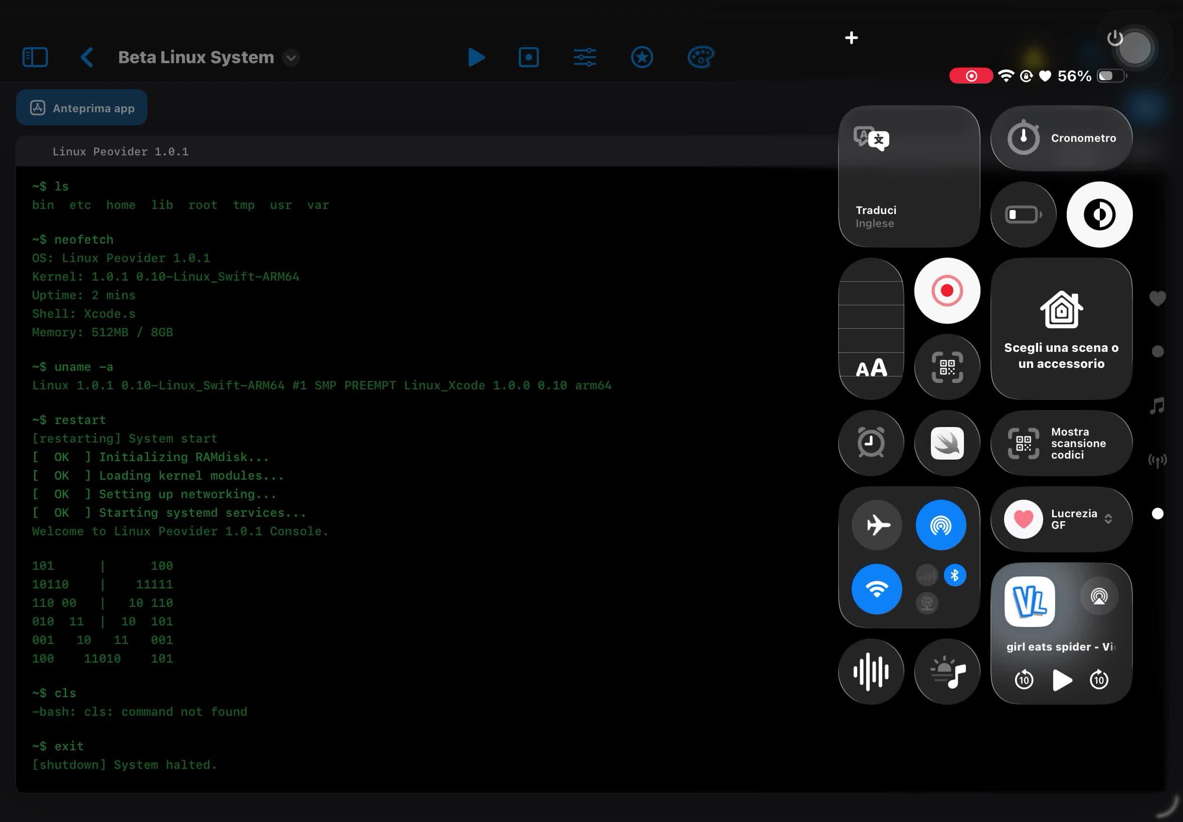 Linux System in Swift Playground