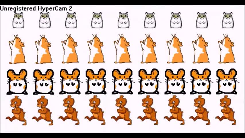 The Death of Hampsterdance