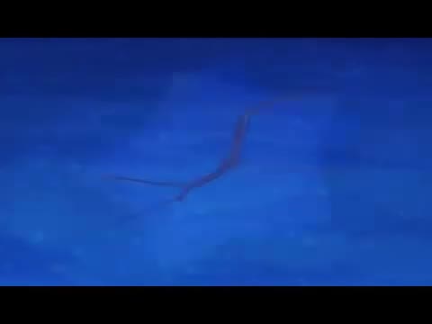 ZuDeX - Mentiras (2da versión; 2007)
