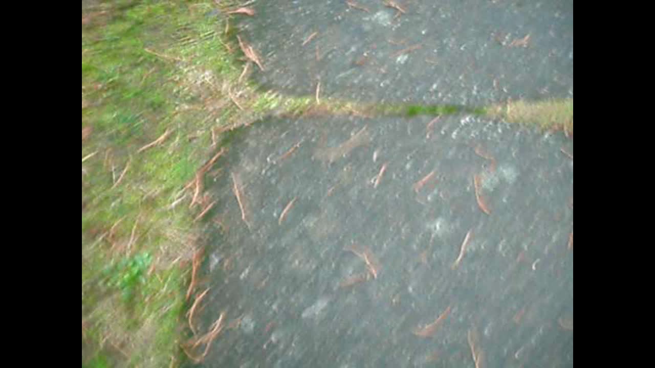 Old Videos Of Old Stanley and Friends!