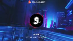 Dont say goodbye alok and Ilkay Sencan Dont say goodbye alok and Ilkay Sencan