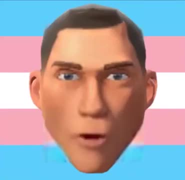 trans scout trans scout