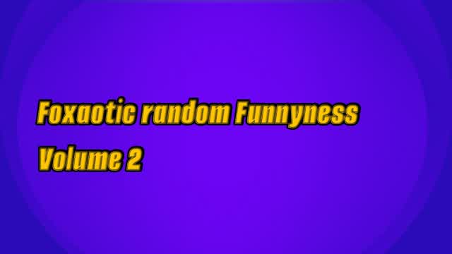Foxaotic random Funnyness Volume 2