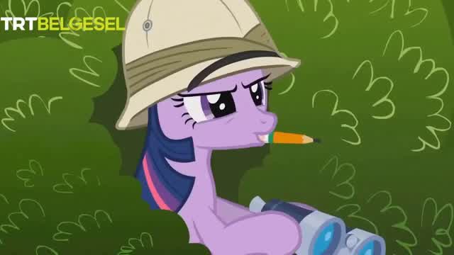 Saçma MLP teorileri