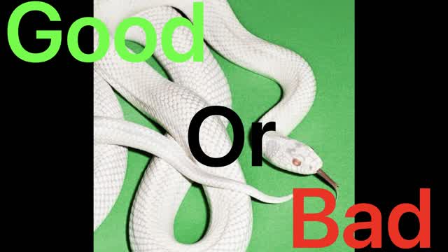 Is the new deftones album good?