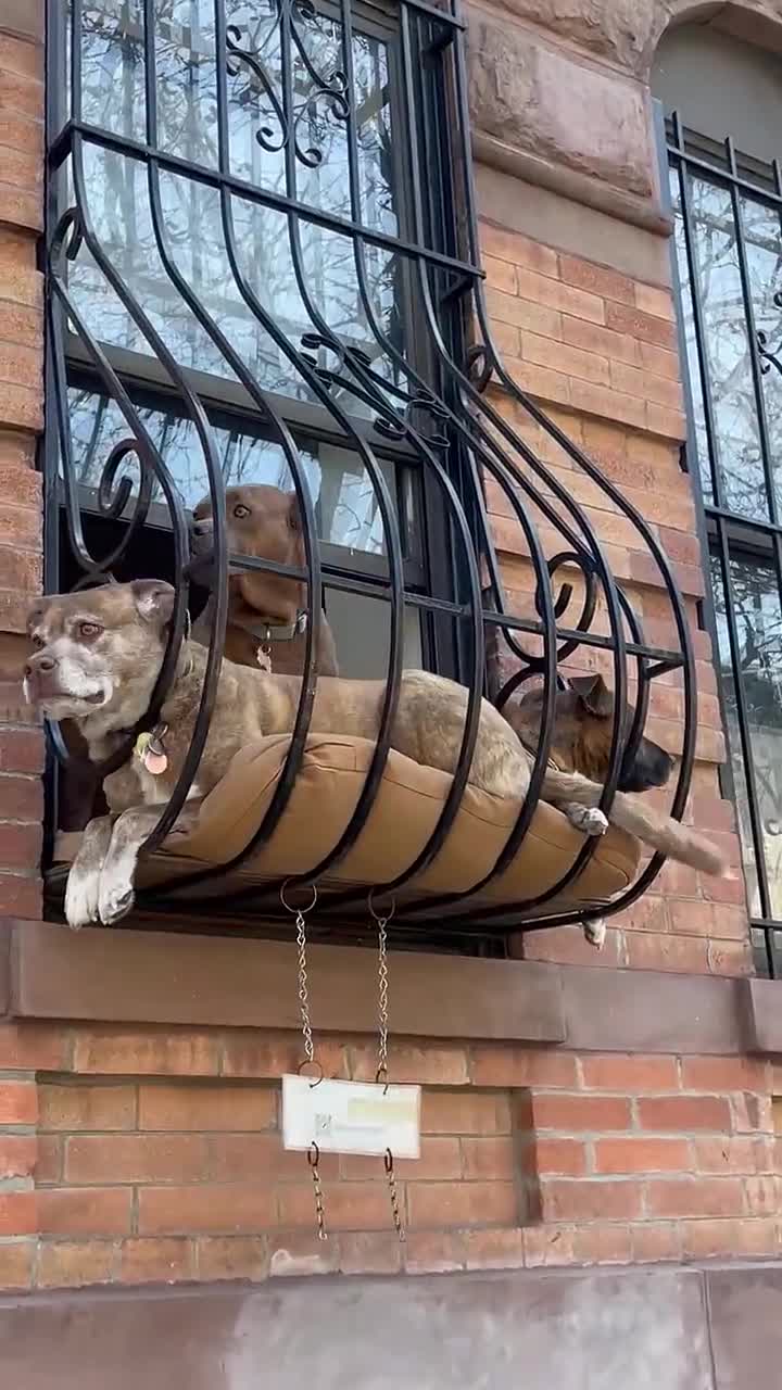 The boys are out - Betch (720p, h264, youtube)