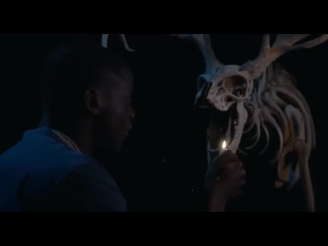 the video EVER