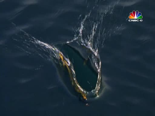 SüngerBob KareŞort - Kopya Yaratık (S2B15)