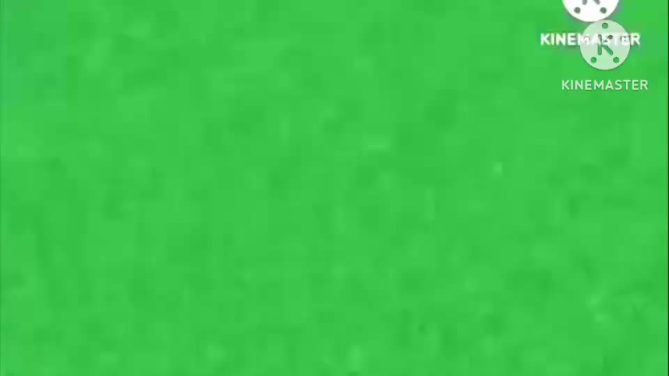 Flicky Csupo 2001 Logo