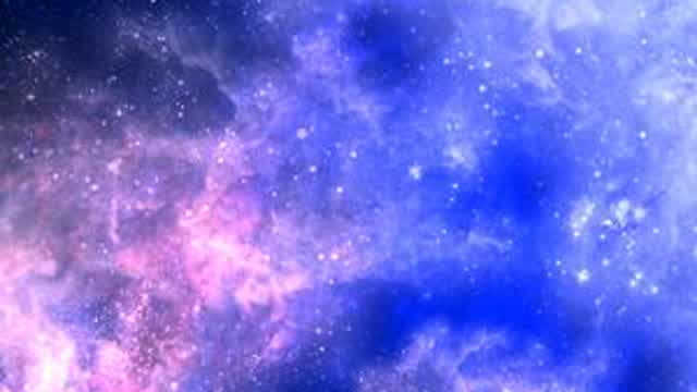 We found a cat :D.avi We found a cat :D.avi