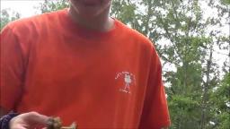 Delicious Time 4 - Deer Steak And Fog Legs (Arion Ferguson) Delicious Time 4 - Deer Steak And Fog Legs (Arion Ferguson)