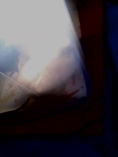 Awww 4 baby chicks burning alive :) Awww 4 baby chicks burning alive :)