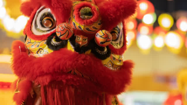 inside a dancing lion POV inside a dancing lion POV