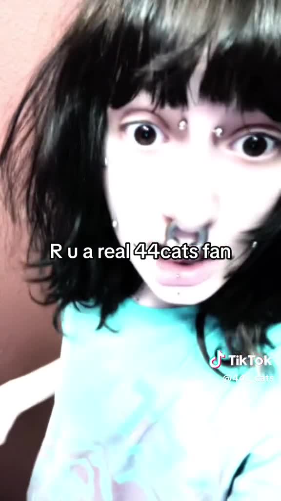 44cats girls be like: #minis