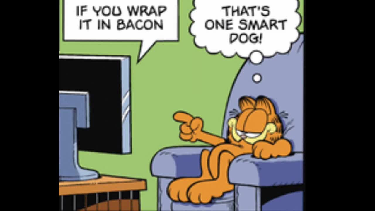 2025/09/16 Garfield Comic Dub
