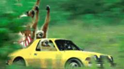 lol monkeys lol monkeys