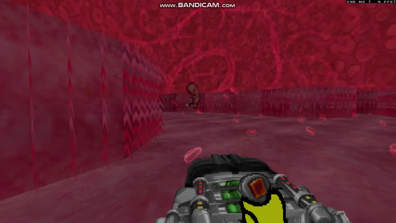 My klonoa doom wad on rootpain