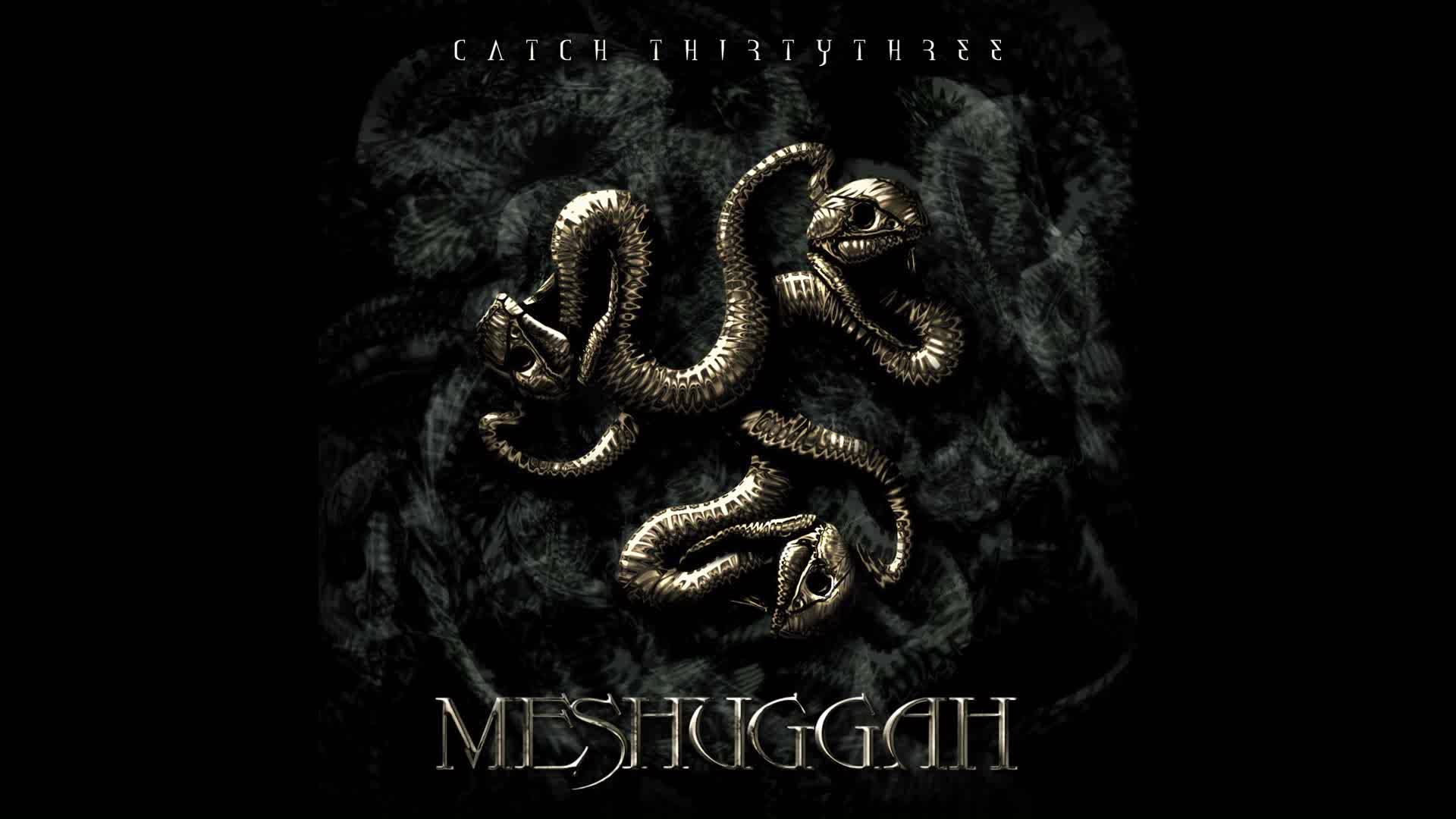 Meshuggah - Shed