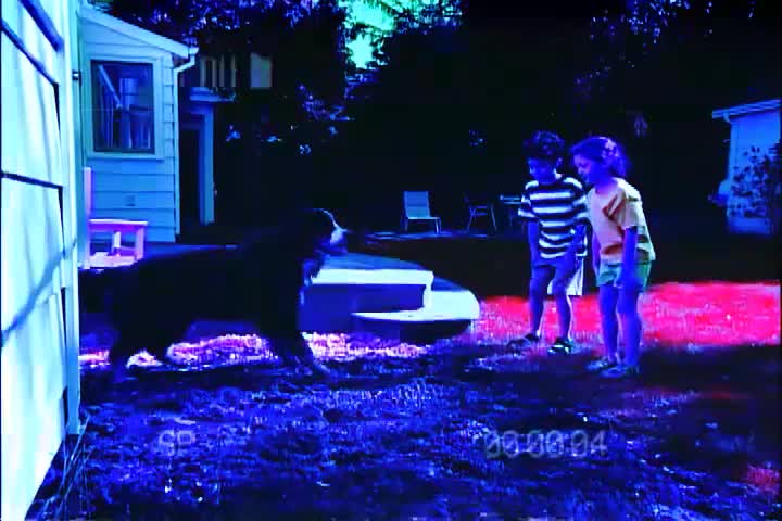 S_PAR_KL_DOG.mp4 S_PAR_KL_DOG.mp4