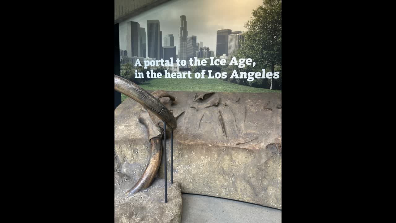 Pictures from my visit to the La Brea Tar Pits Pictures from my visit to the La Brea Tar Pits