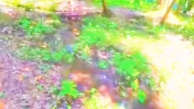 (My...last...niga69👣👣👣niganigavideos69😻😻..majo..majo..