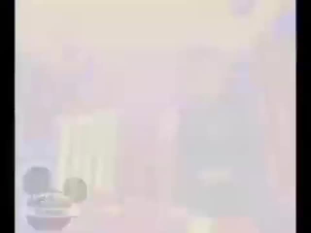 Wiggle y aprende - Nos vamos los wiggles