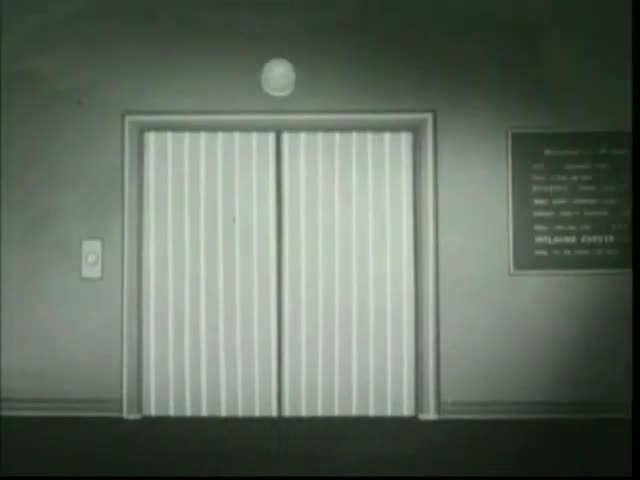 Wilkin's Coffee - Elevator