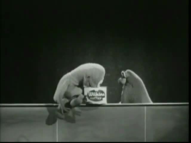 Wilkin's Coffee - I Get a Bang Out of Wilkins