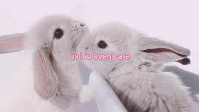 Bunny girl SpeedPaint