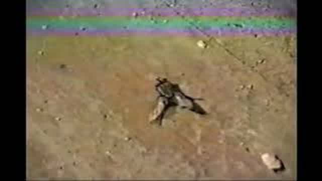 ‏‏‎ ‎