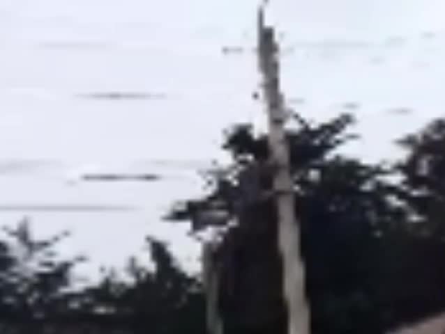 White_House.AVI (found footage) White_House.AVI (found footage)