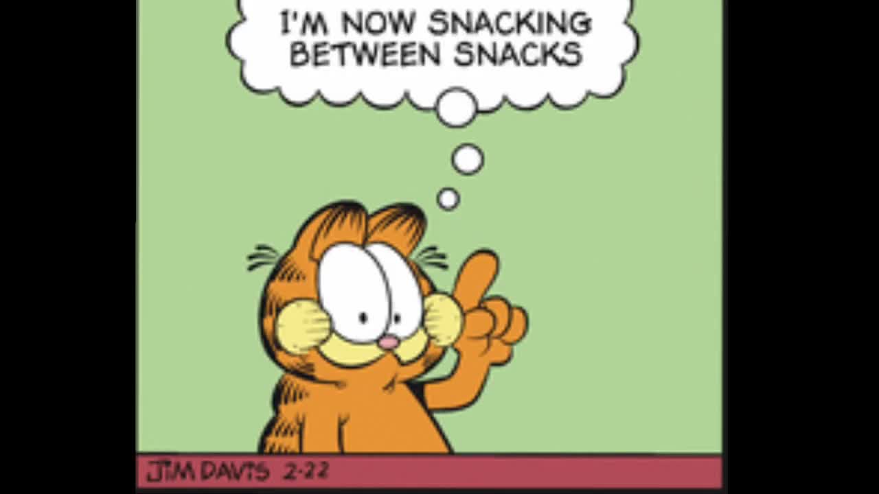 2025_02_22 Garfield Comic Dub