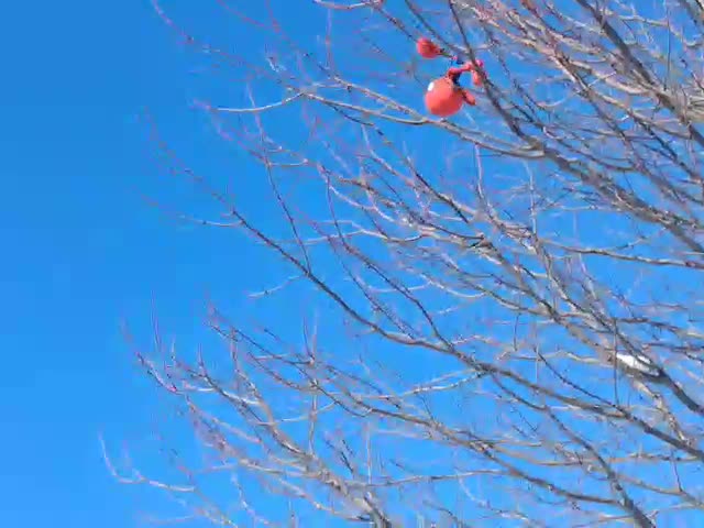 Spider-man's stuck on a tree....