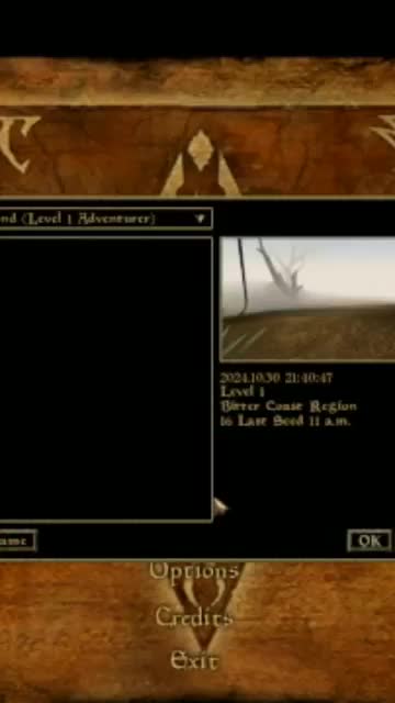 Morrowind save glitch