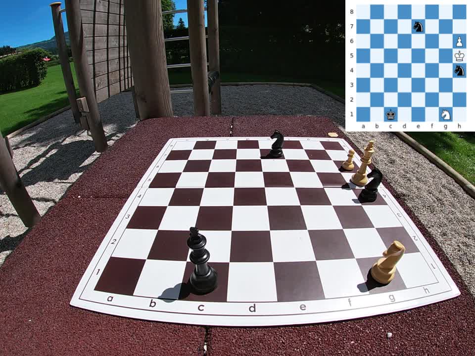 One knight against two knights –By Peter Krug