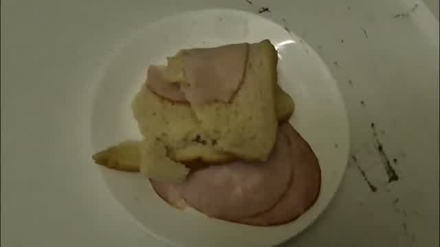 tutorial: how to hold or eat a sandwich