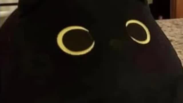 mofleada maincraftera in a nutsel.mp4