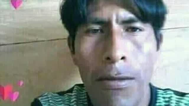 mamani 2