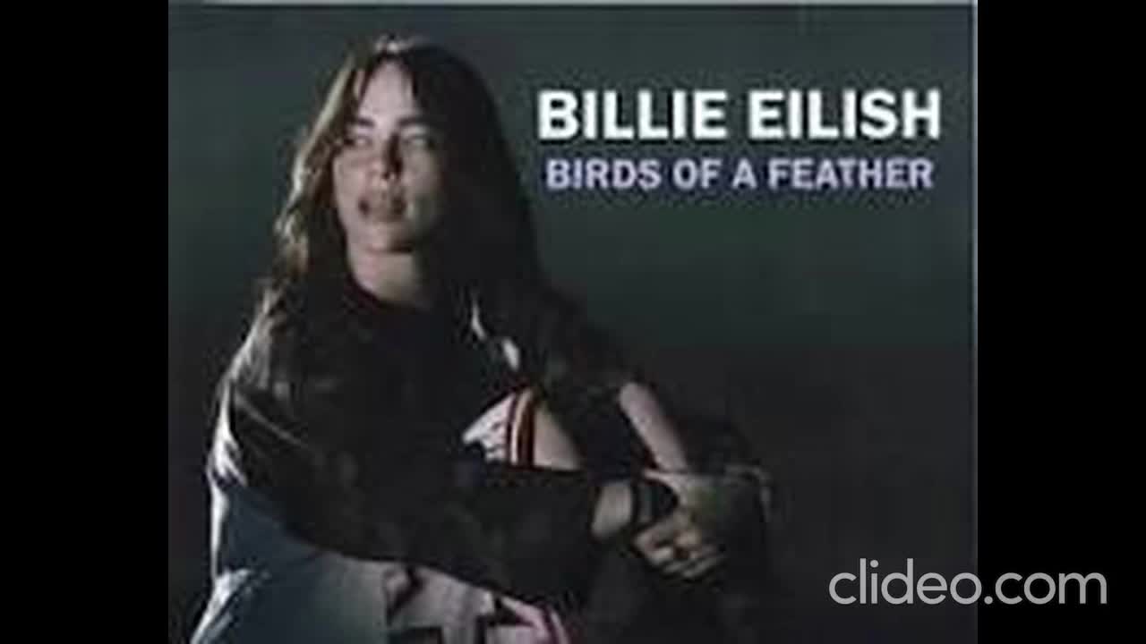 Billie Eilish -- Birds of A Feather