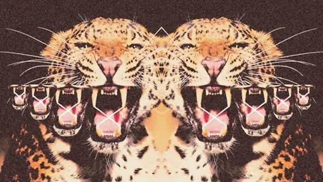 its not giving up but learning when to give up.