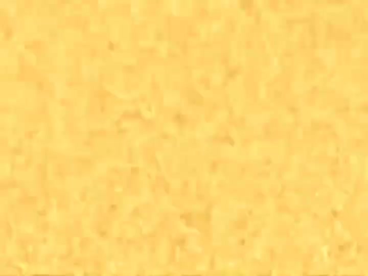 Nikki Csupo Splat Logo