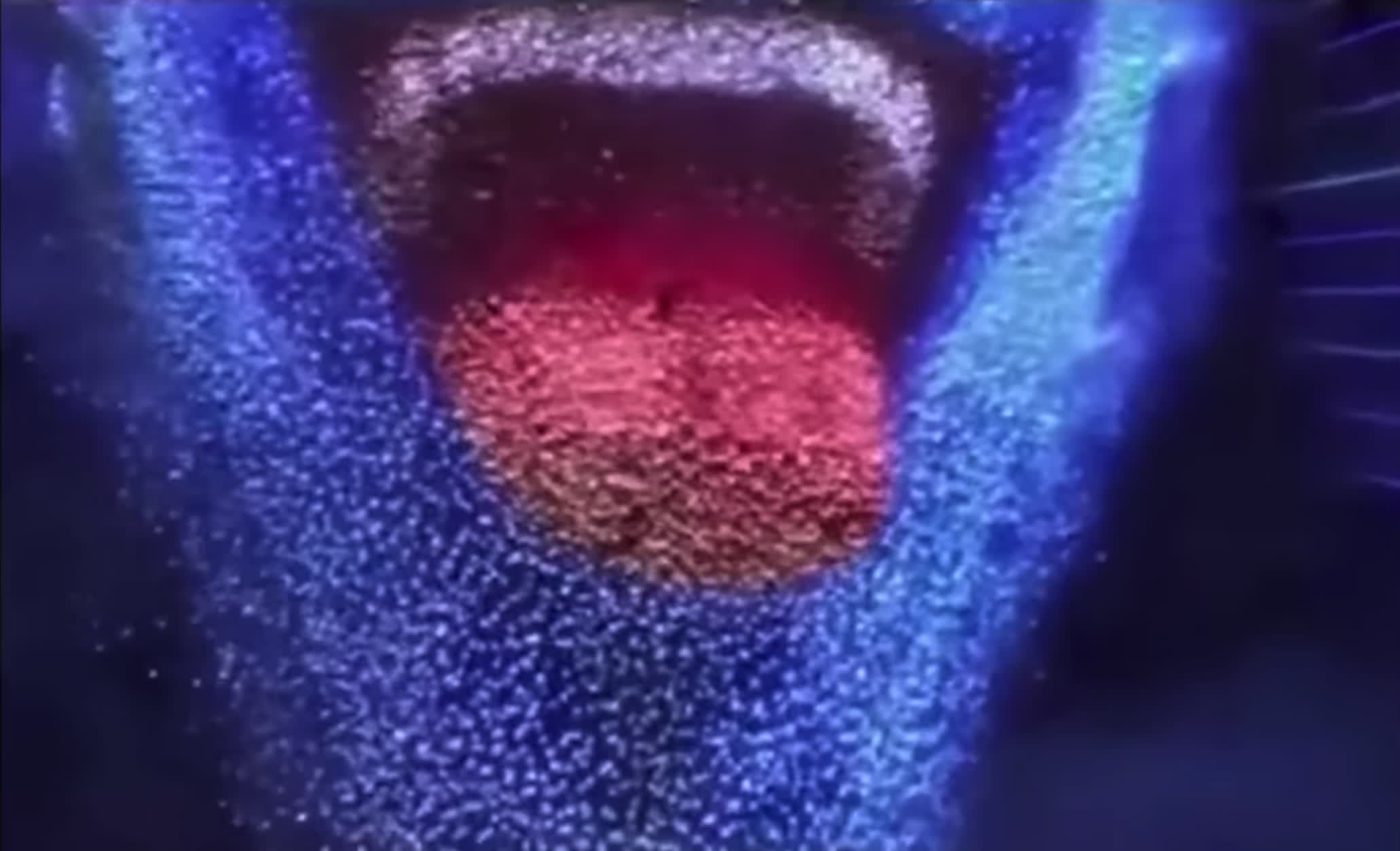 1940s Germany > Iran