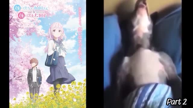 Ranking all the anime I watched in 2025... with MEMES!